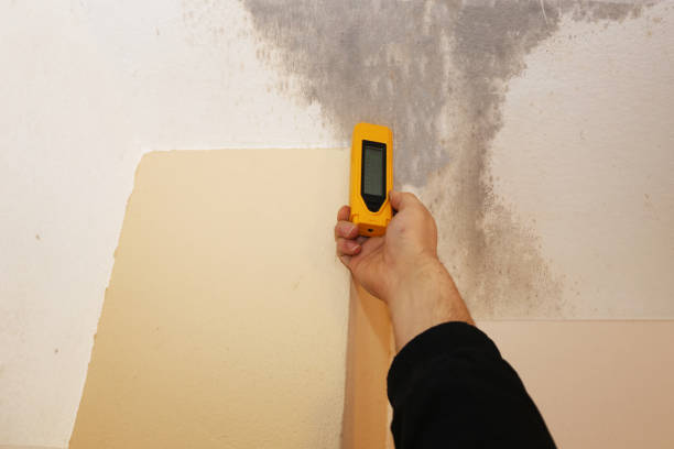 Best Mold Remediation for Healthcare Facilities  in Emmetsburg, IA
