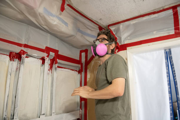 Reliable Emmetsburg, IA Mold Removal Solutions