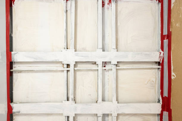 Best Attic Mold Removal  in Emmetsburg, IA