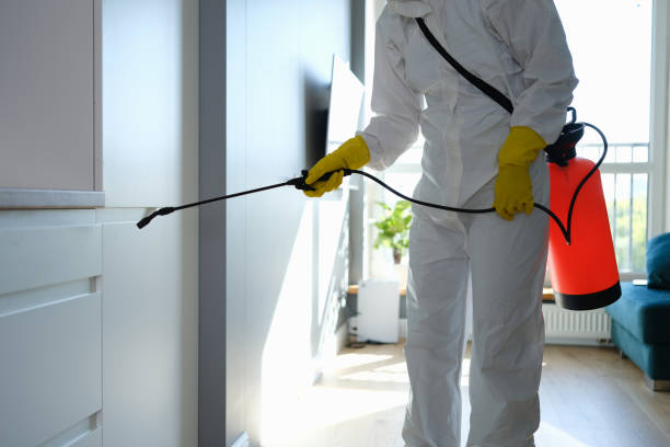 Best Asbestos and Lead Testing During Mold Inspection  in Emmetsburg, IA