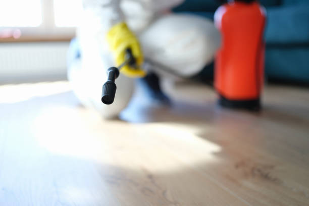 Best Environmental Consulting for Mold Prevention  in Emmetsburg, IA