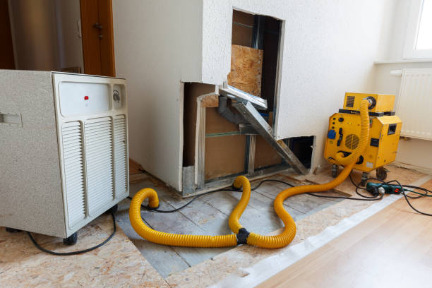 Best Mold Damage Restoration  in Emmetsburg, IA
