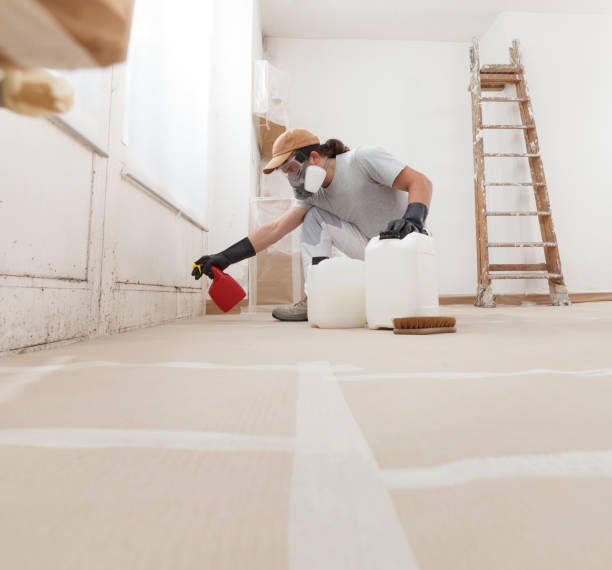 Best Crawl Space Mold Remediation  in Emmetsburg, IA