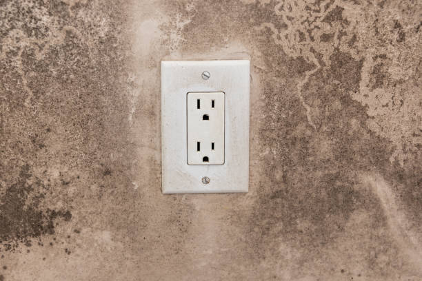 Best Dehumidification Services  in Emmetsburg, IA